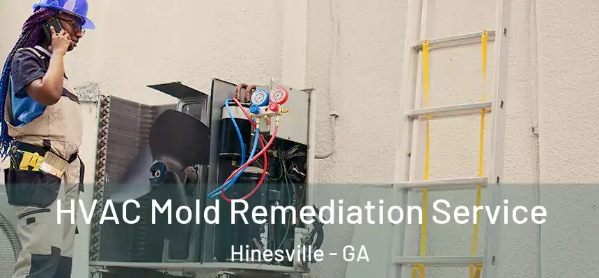 HVAC Mold Remediation Service Hinesville - GA