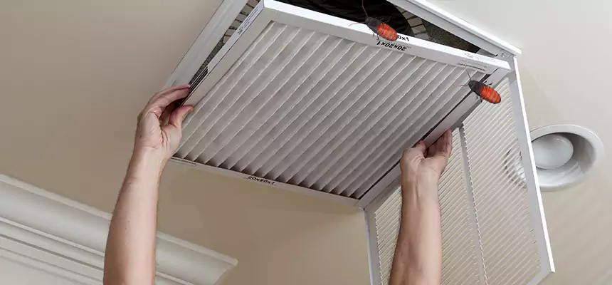 Our Insect Removal from Air Ducts Services in Hinesville, GA