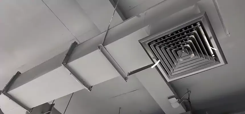 Our Pest Removal From Ducts Services in Hinesville, GA