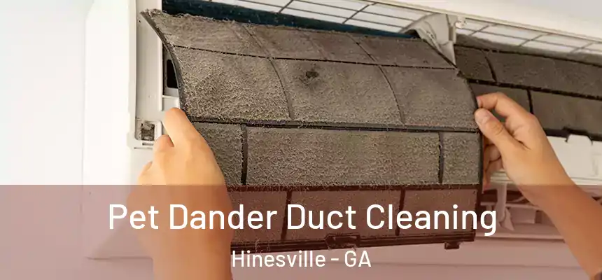 Pet Dander Duct Cleaning Hinesville - GA