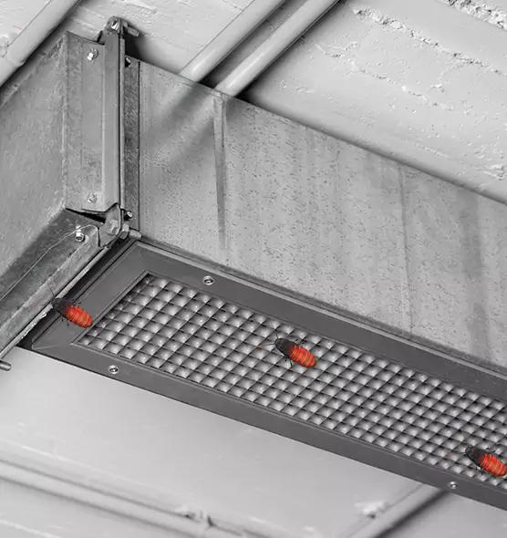 About Air Duct Cockroach Removal in Hinesville, GA
