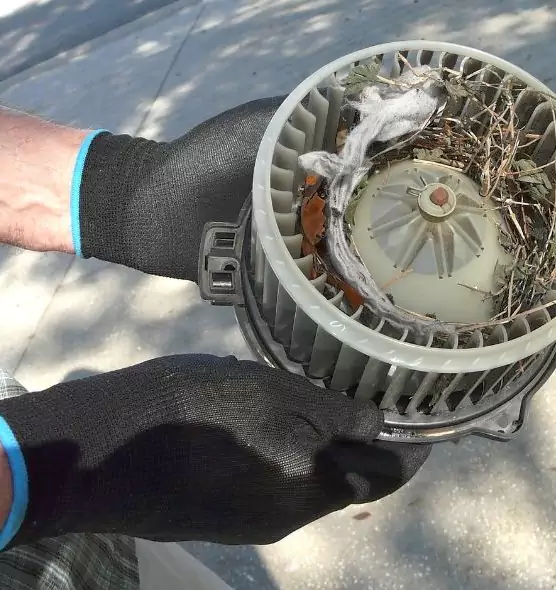 About Air Duct Mice Removal in Hinesville, GA