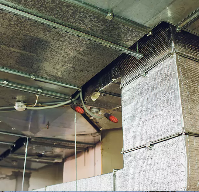 Why Homeowners & Businesses Trust Us in Hinesville, GA?