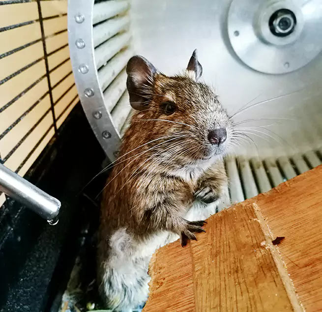 Why Homeowners & Businesses Trust Us Hinesville, GA